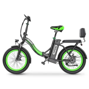 Hidoes C1 20" Folding Electric Bike - Powerful e-bike with 250W motor, 48V 13Ah battery, and fat tires.