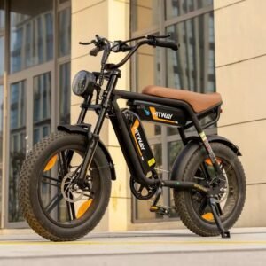 Electric Mountain Bike with Powerful Motor and Dual Batteries